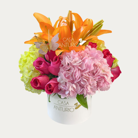 Arreglo en Rosas, Hortensias y Lirios