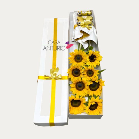 Caja de Girasoles con Chocolates