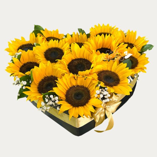 Corazón de Girasoles