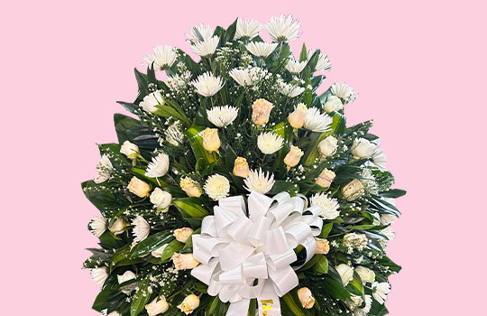 floristería en cali