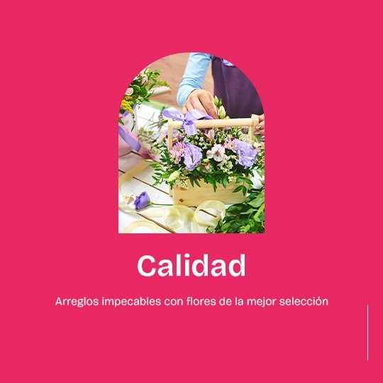 floristería en cali