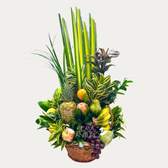 Frutero con Follajes