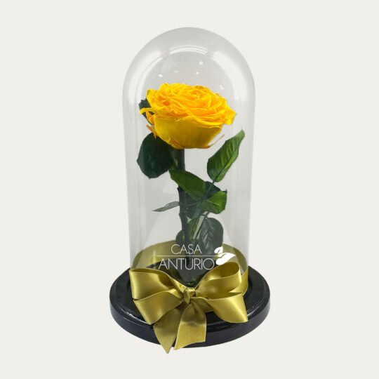 Rosa Preservada Amarilla