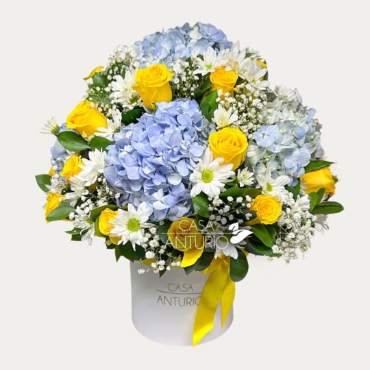 Arreglo de Rosas Amarillas, Hortensias y Margaritas