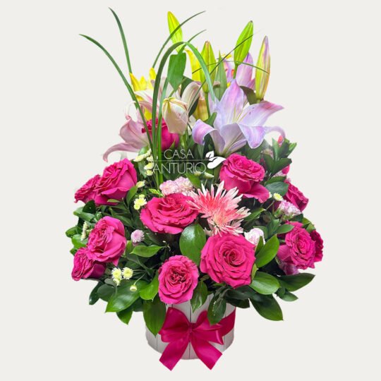 Arreglo de Rosas Fucsia, Crisantemos y Lirios