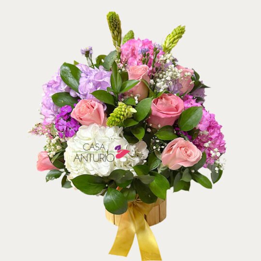 Arreglo de Rosas, Hortensias y Estrella de Belén