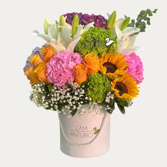 Arreglo de Rosas, Hortensias, Girasoles y Lirios