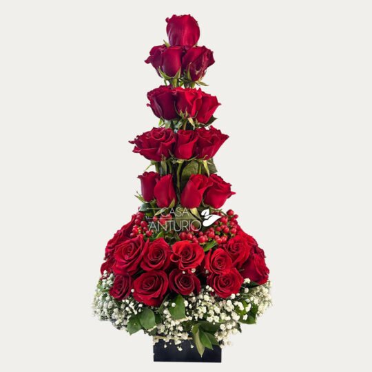 Arreglo Alto de Rosas Rojas, Cafeto y Perla