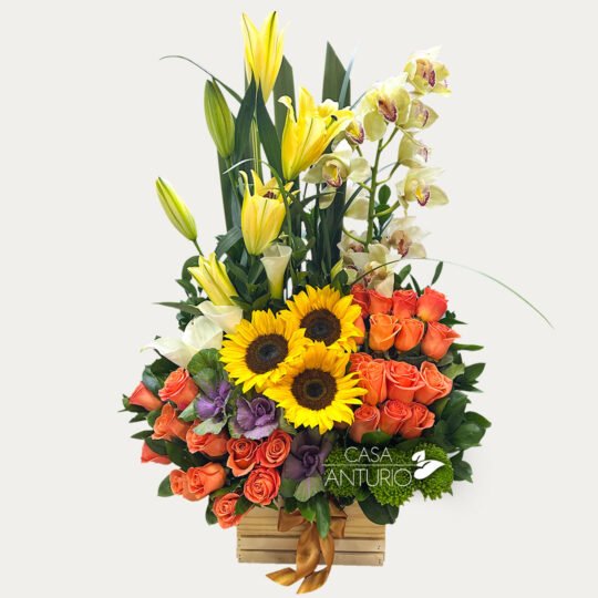 Arreglo de Rosas Salmón, Girasoles, Lirios y Orquídea