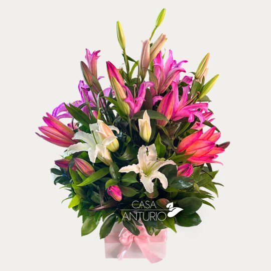 Arreglo Grande de Lirios