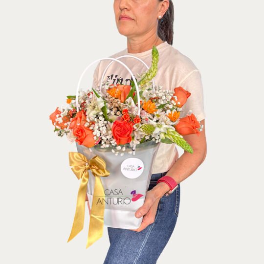 Bolso de Rosas Salmón, Margaritas, Astromelias, Perla y Estrella de Belén