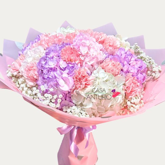 Bouquet de Hortensias y Claveles
