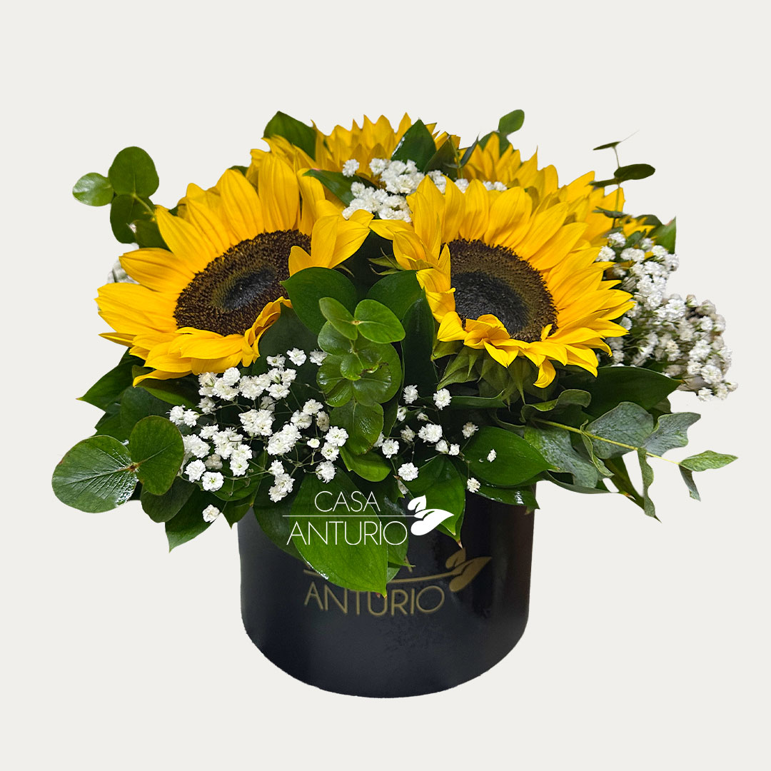 Arreglo de Girasoles con Follajes