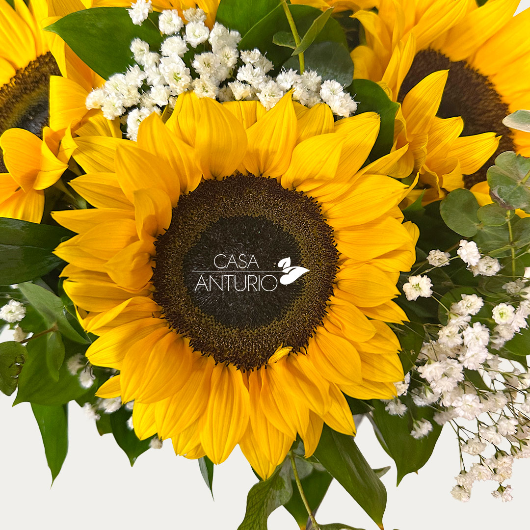Arreglo de Girasoles con Follajes - Imagen 4