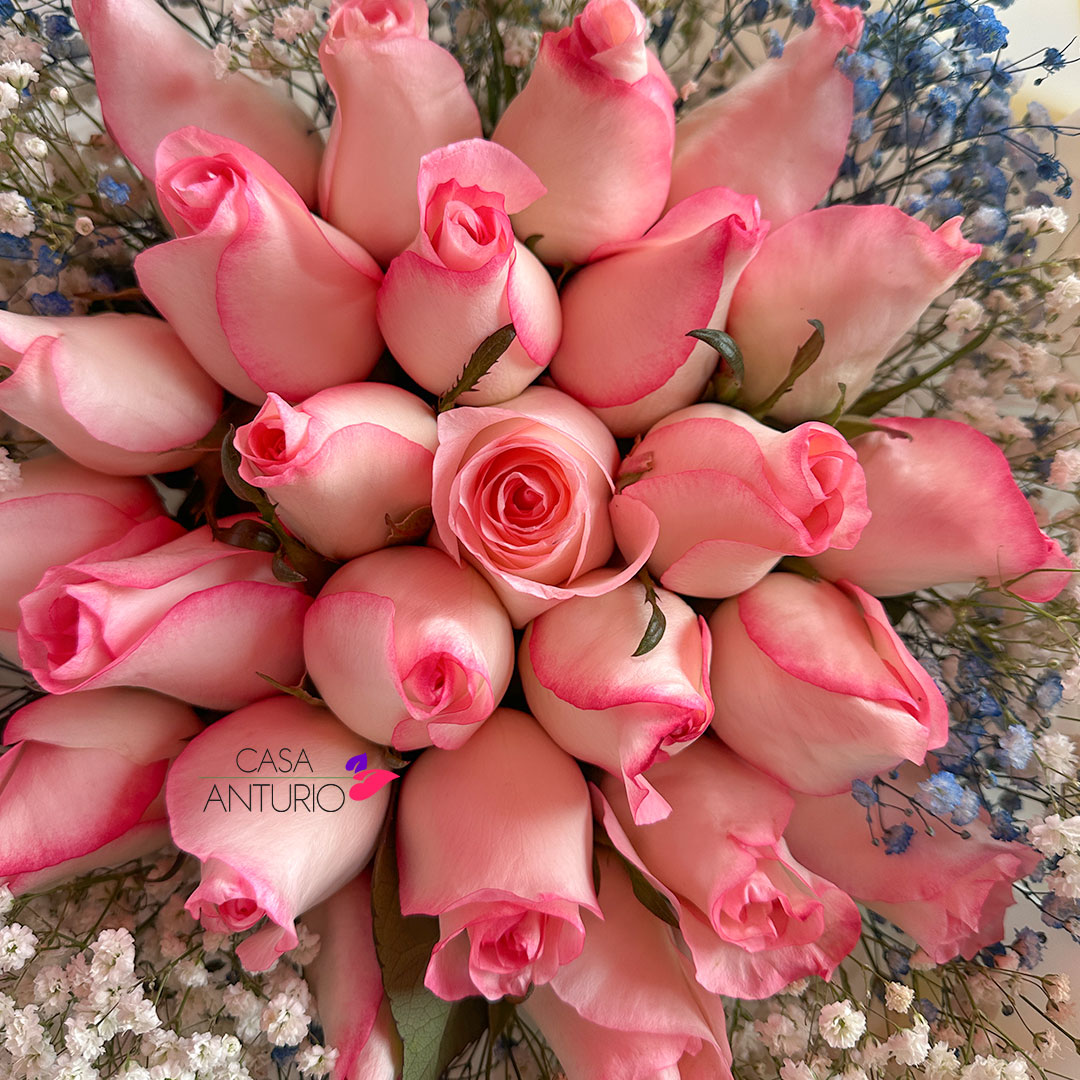 Bouquet de 24 Rosas Rosadas y Perla - Imagen 4