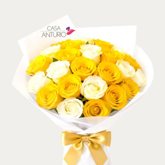Bouquet de 24 Rosas Amarillas y Blancas en Papel Coreano