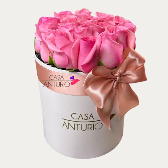 Arreglo Circular de Rosas Rosadas