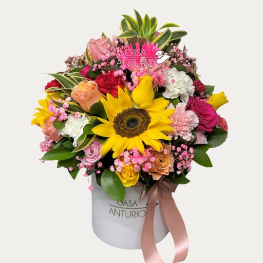 Arreglo de Rosas, Girasoles y Crisantemos