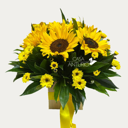 Arreglo de Girasoles y Margaritas
