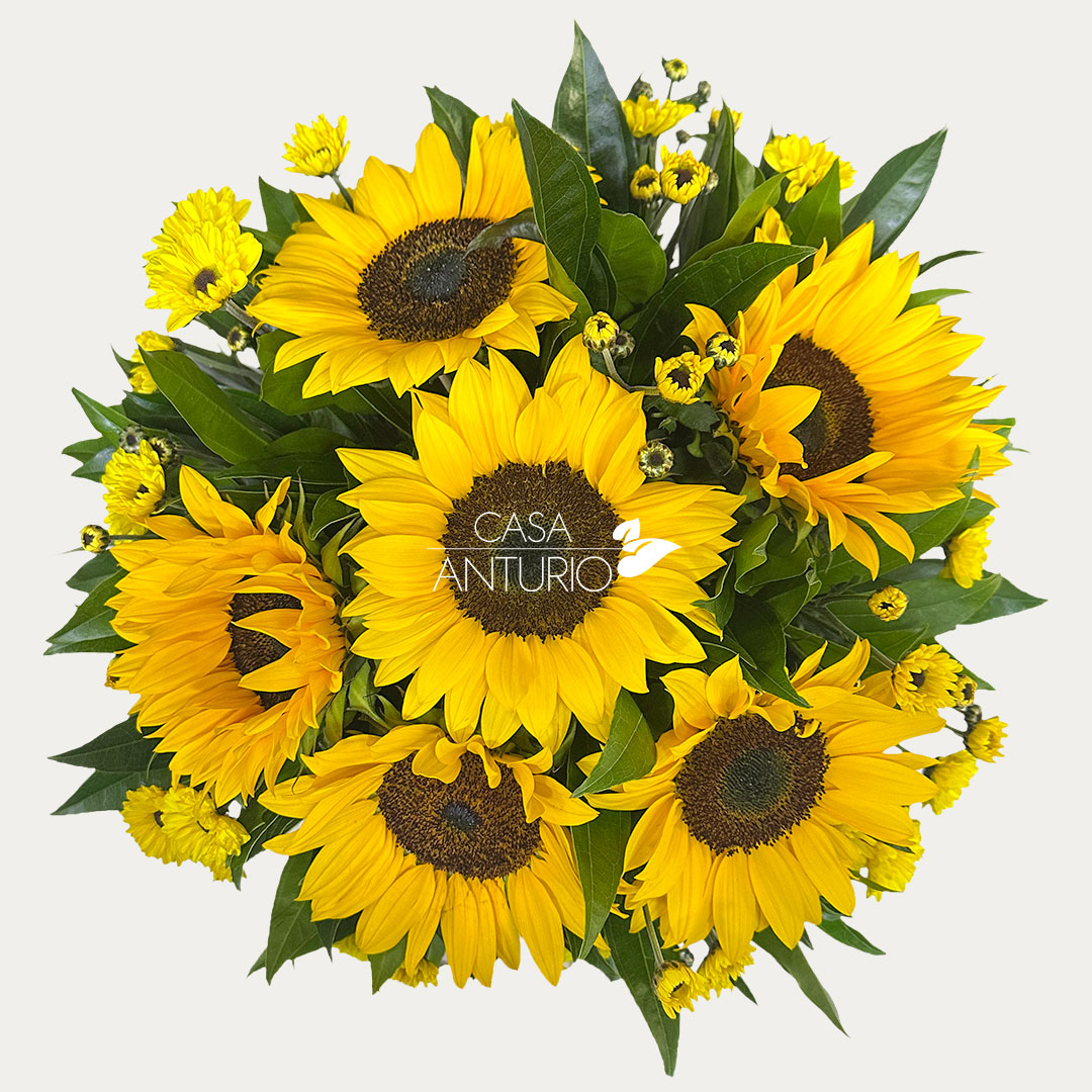 Arreglo de Girasoles y Margaritas - Imagen 2