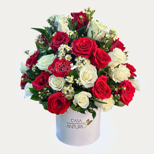 Arreglo de Rosas y Montecasino