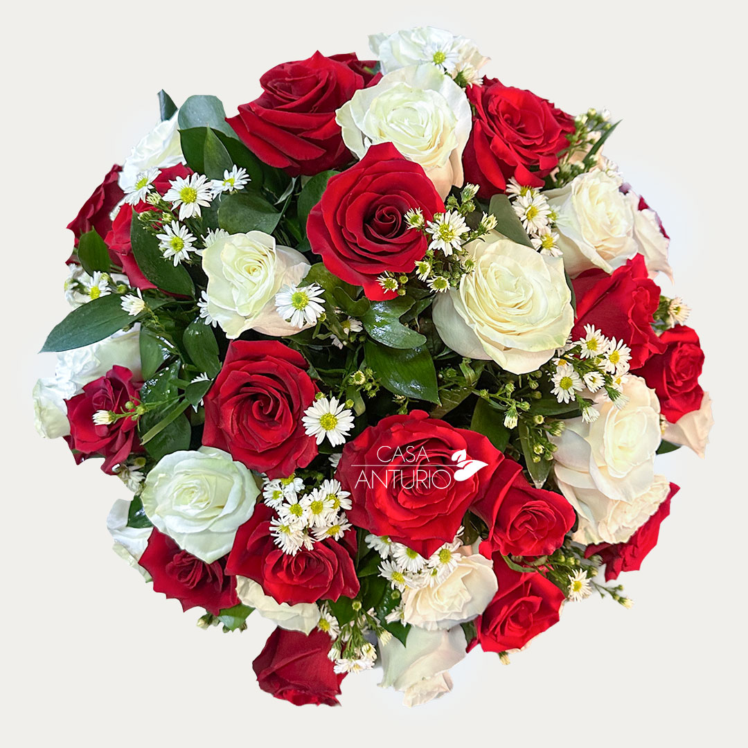Arreglo de Rosas y Montecasino - Imagen 2