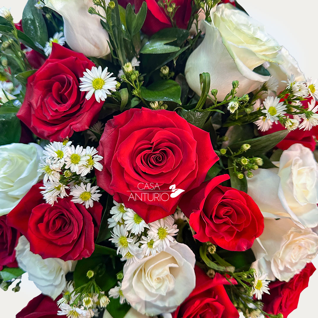 Arreglo de Rosas y Montecasino - Imagen 3