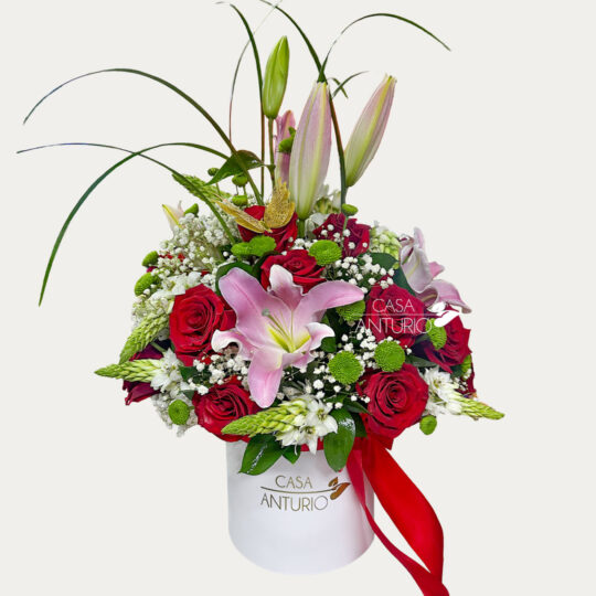 Arreglo de Rosas, Lirios y Estrellas de Belén