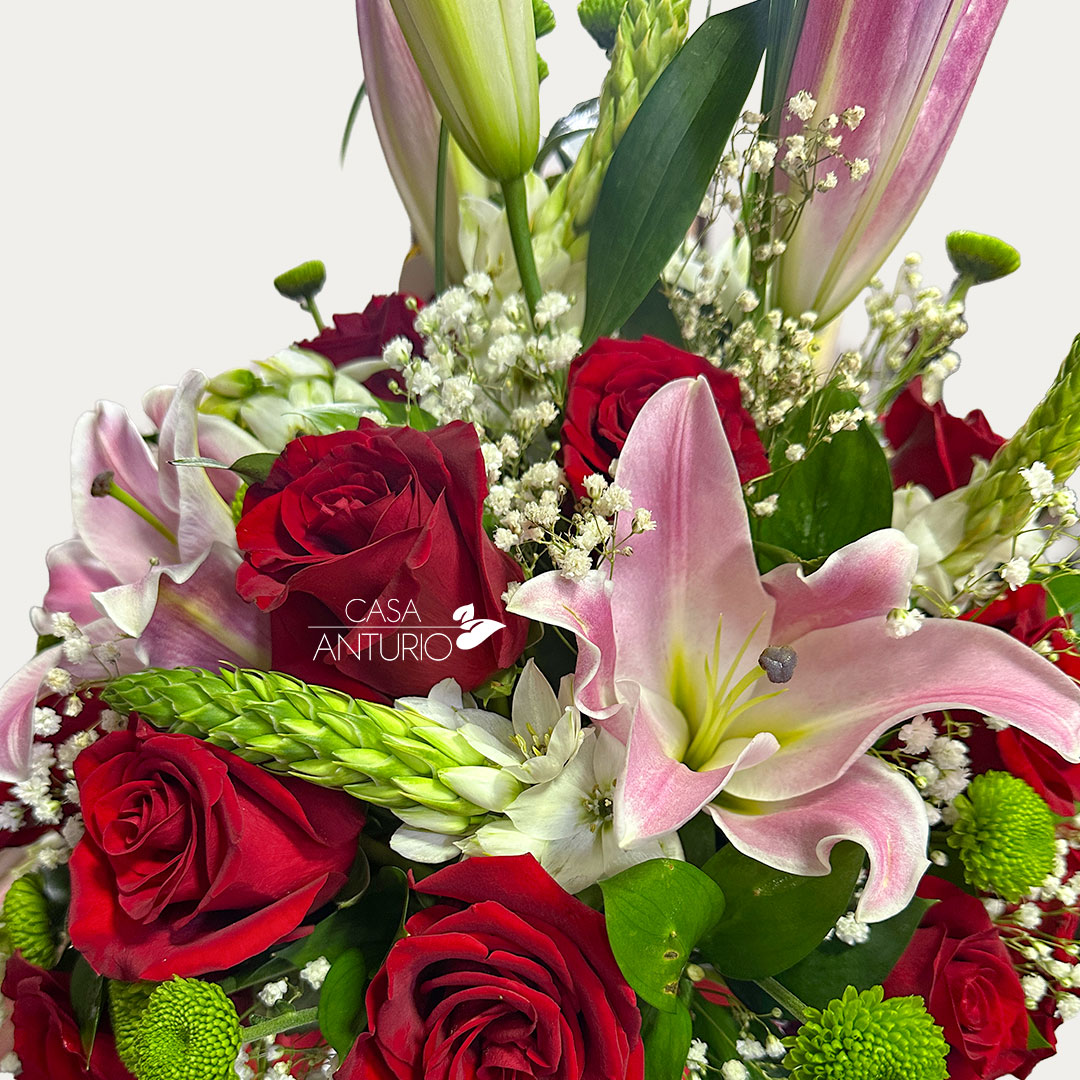 Arreglo de Rosas, Lirios y Estrellas de Belén - Imagen 3