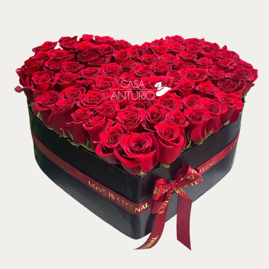 Corazón Grande de Rosas Rojas