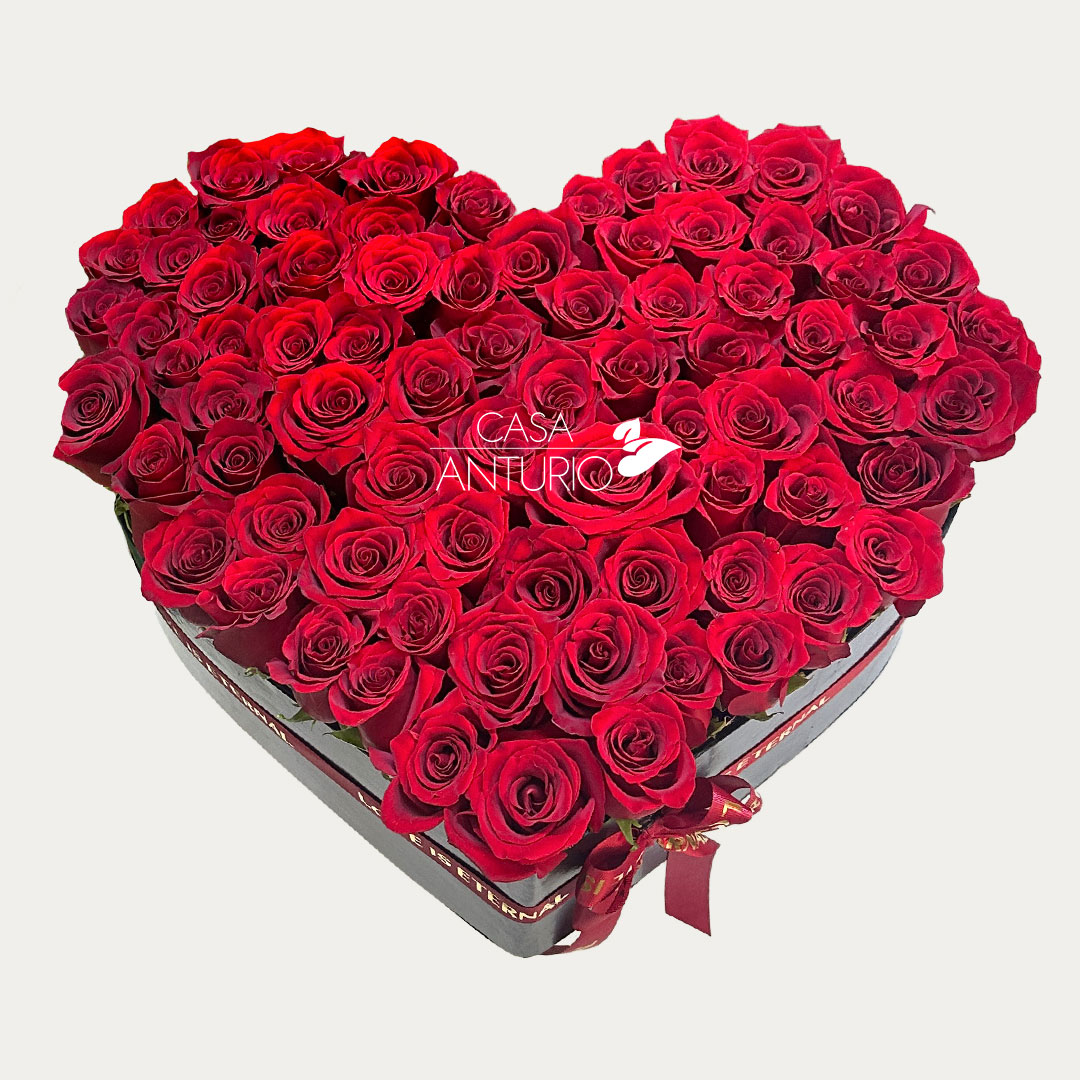Corazón Grande de Rosas Rojas - Imagen 2