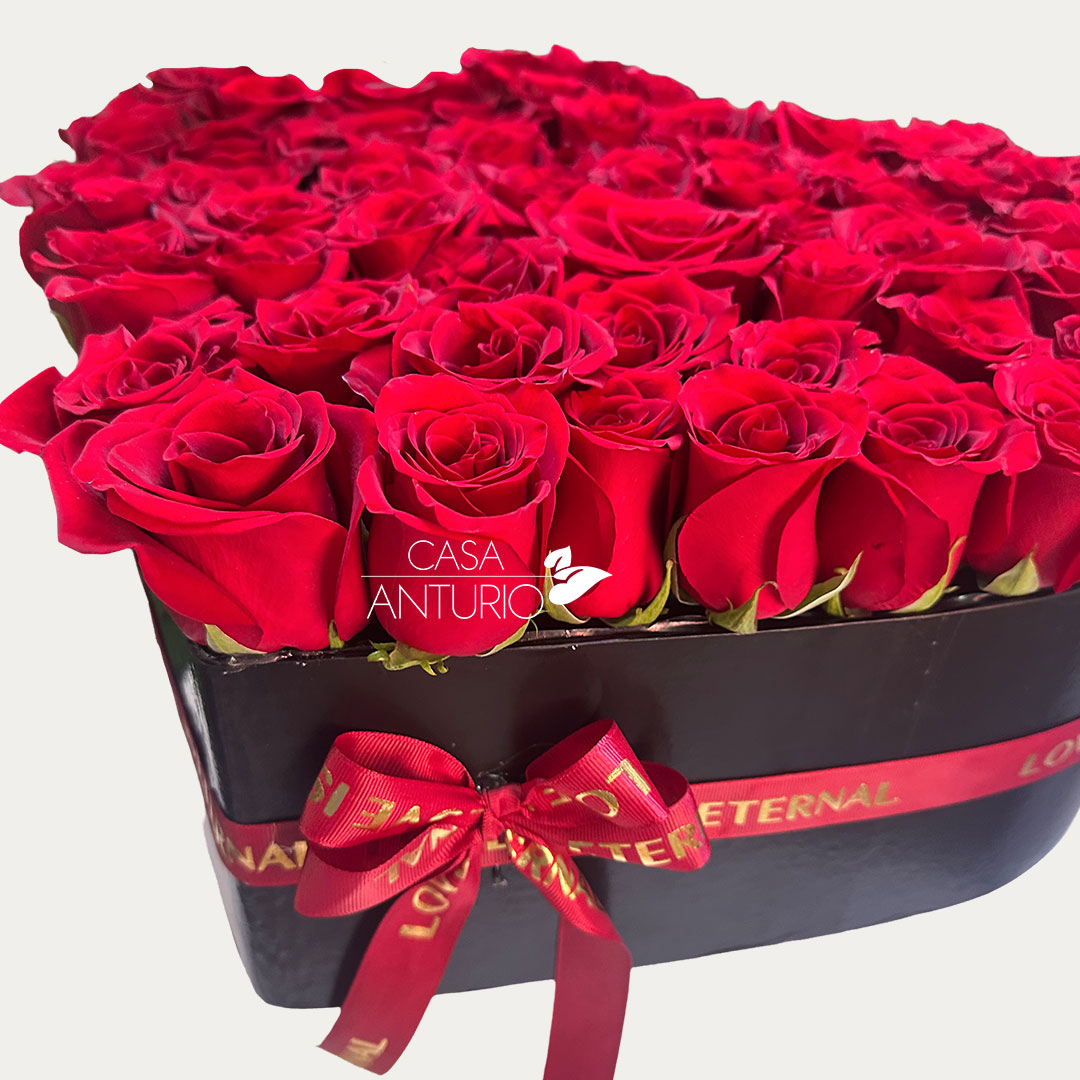 Corazón Grande de Rosas Rojas - Imagen 3