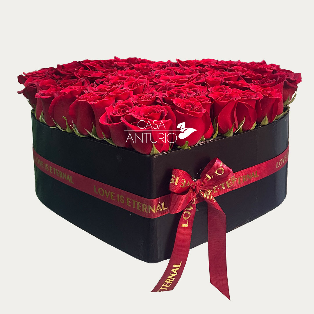 Corazón Grande de Rosas Rojas - Imagen 4