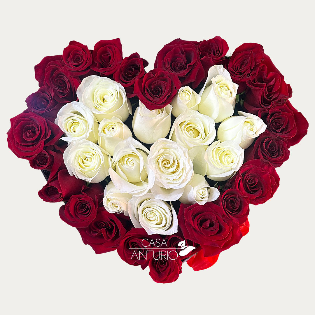 Arreglo Corazón en Rosas Blancas y Rojas - Imagen 3