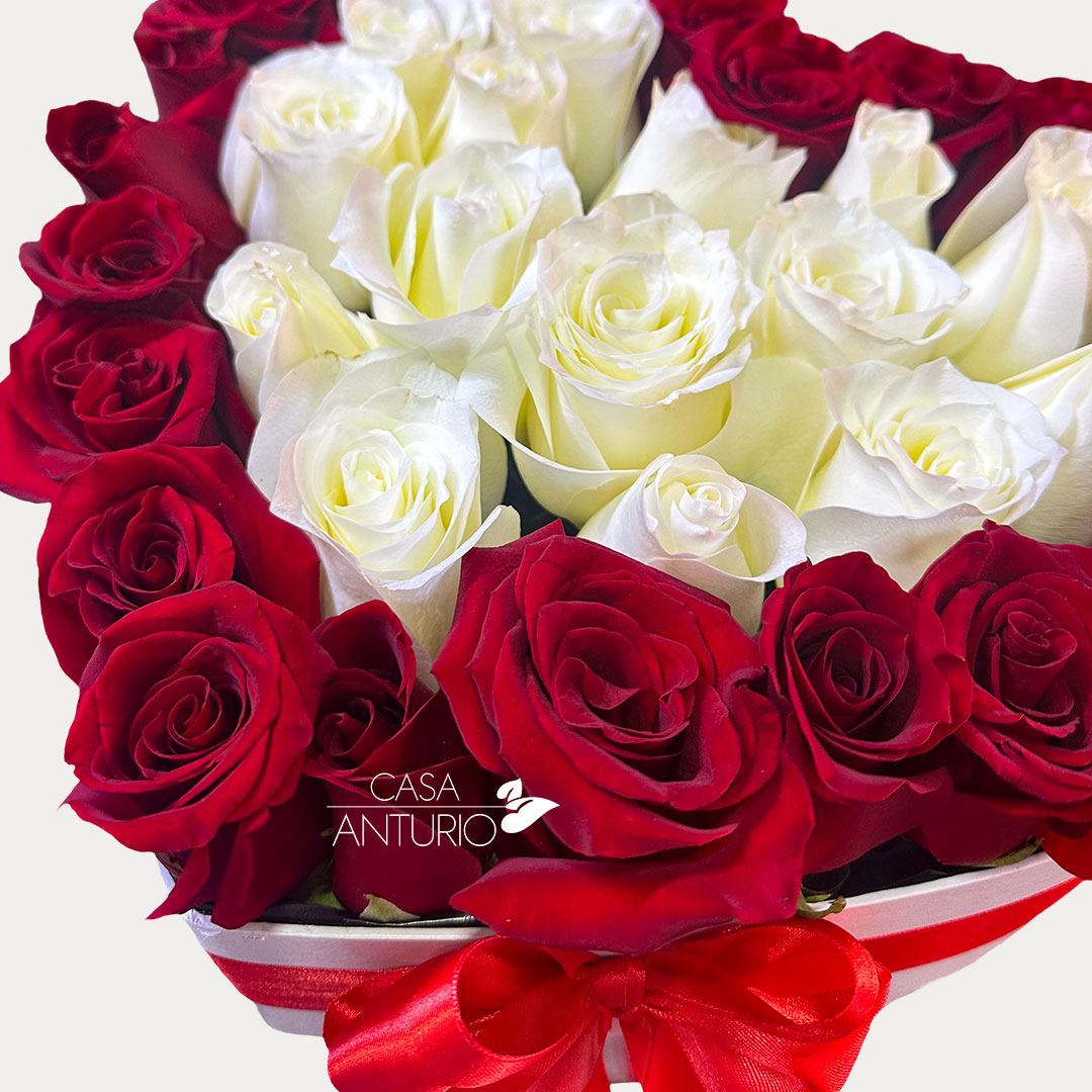 Arreglo Corazón en Rosas Blancas y Rojas - Imagen 2